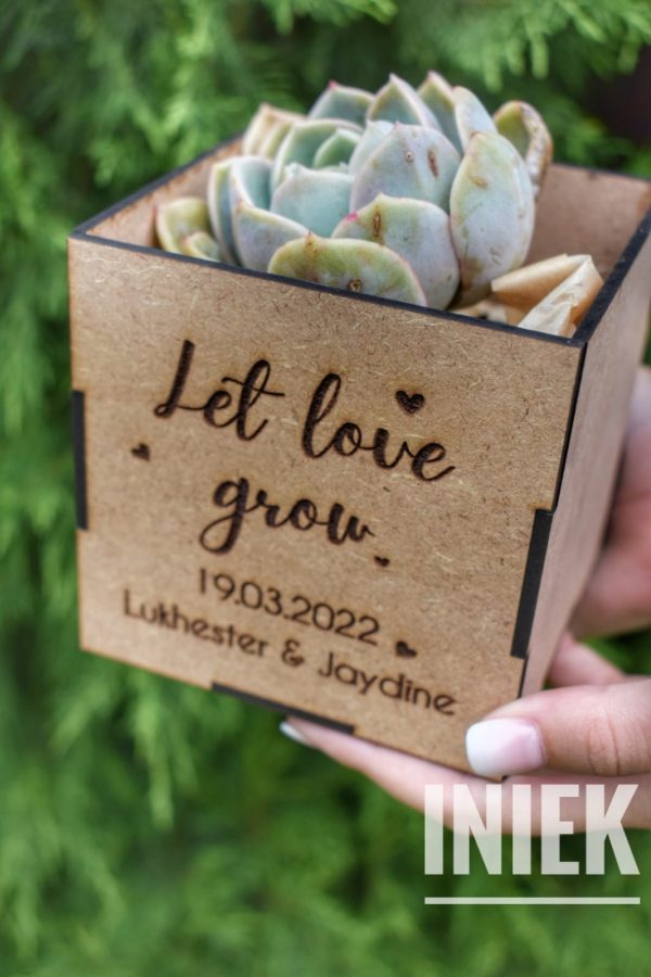 Favour boxes